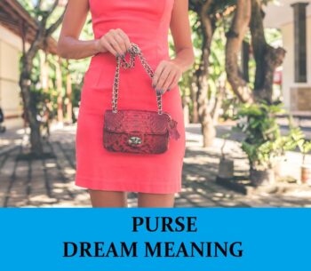 Qué significa soñar con un bolso o una cartera