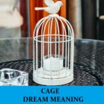 Significado del sueño de la jaula - Los 19 mejores sueños sobre la jaula