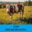 Significado del sueño de la vaca - Los 14 mejores sueños sobre vacas