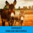 Significado del sueño del burro - Los 25 mejores sueños sobre el burro