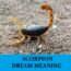 Significado del sueño del escorpión - Los 21 mejores sueños sobre el escorpión