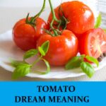Dream About Tomatoes