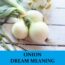 Significado del sueño de la cebolla - Los 15 mejores sueños sobre la cebolla