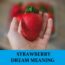 Significado del sueño de la fresa - Los 11 mejores sueños sobre la fresa