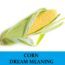 Significado de soñar con el maíz - Los 20 mejores sueños sobre el maíz
