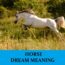 Significado de soñar con caballos - Los 100 mejores sueños sobre caballos