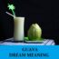 Significado del sueño con guayaba - Los 6 mejores sueños con guayaba