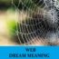 Significado de un sueño web - Los 11 mejores sueños web