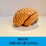 Significado de los sueños cerebrales - Los 9 mejores sueños cerebrales
