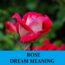 Significado de los sueños con rosas - Los 25 mejores sueños con rosas