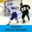 Significado del sueño sobre el hockey - Los 7 sueños más importantes sobre el hockey