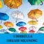 Significado del sueño del paraguas - Los 16 mejores sueños con paraguas