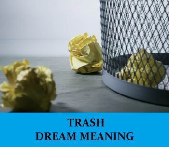 Significado del sueño basura – Los 16 mejores sueños con basura