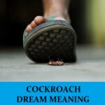 Significado del sueño cucarachas - Los 12 mejores sueños sobre cucarachas