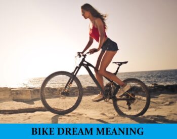 Significado de la bicicleta soñada – Los 11 mejores sueños sobre bicicletas