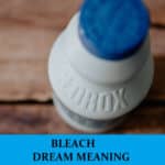 Significado del sueño Bleach - Los 6 sueños más importantes sobre Bleach
